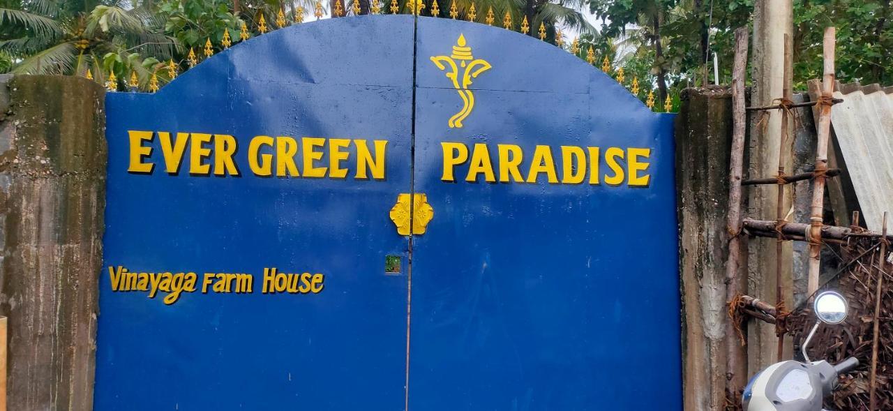 Evergreen Paradise بونديتْشيري الغرفة الصورة