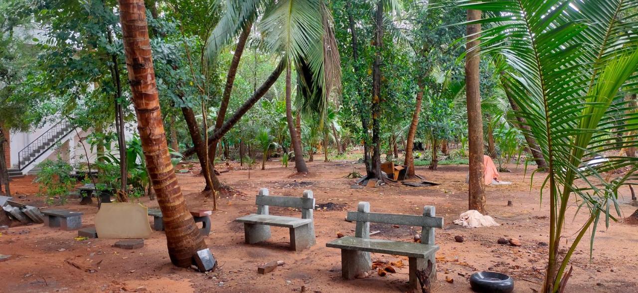 Evergreen Paradise بونديتْشيري الغرفة الصورة